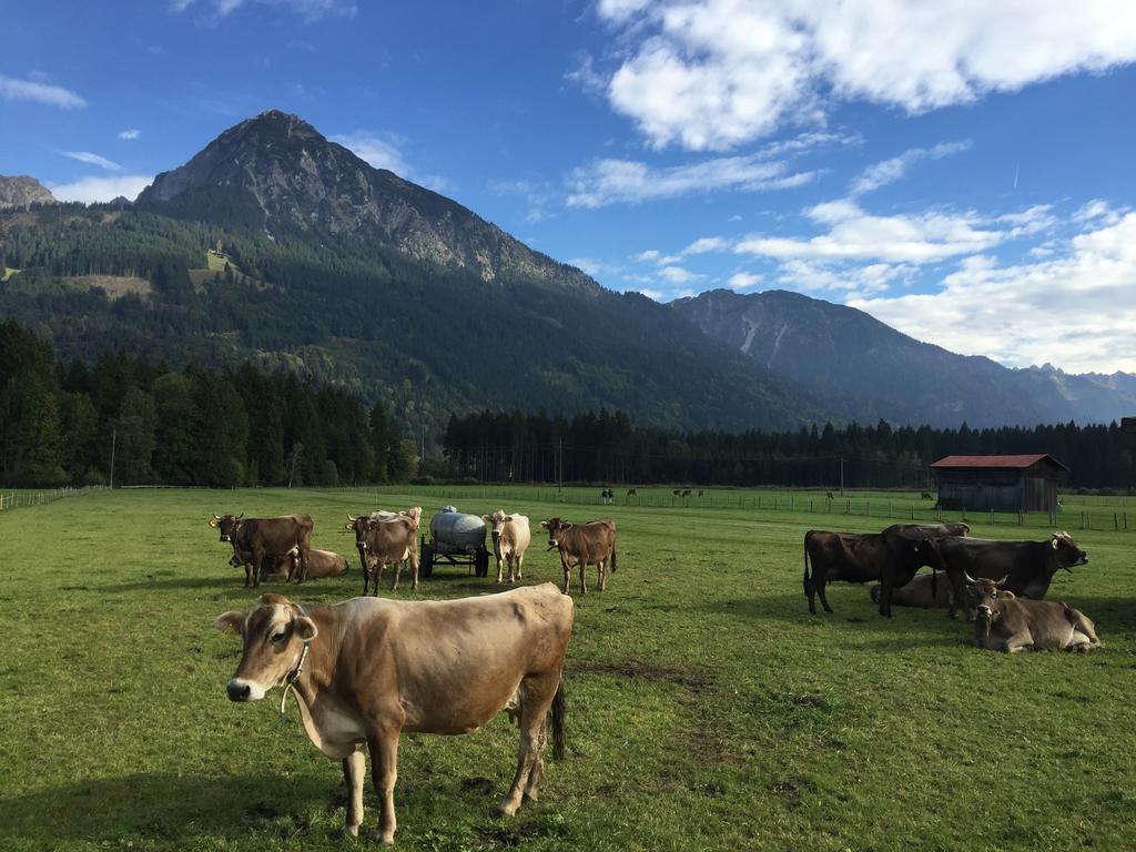 Steinbock Bed & Breakfast Fischen im Allgaeu Esterno foto